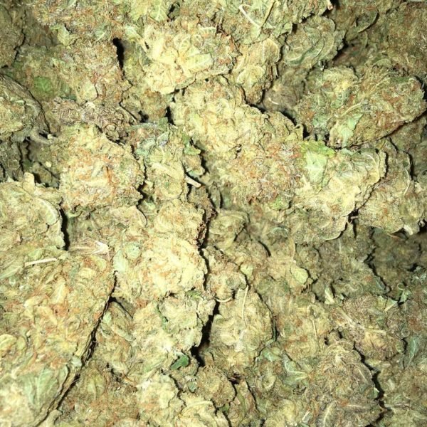 Grand Daddy Purple